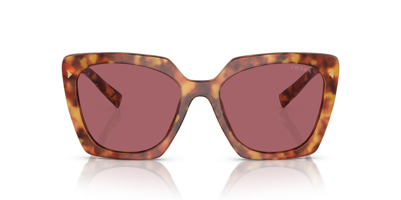 4BW08S - Tortoise - Dark Violet