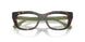 1964 - Tortoise