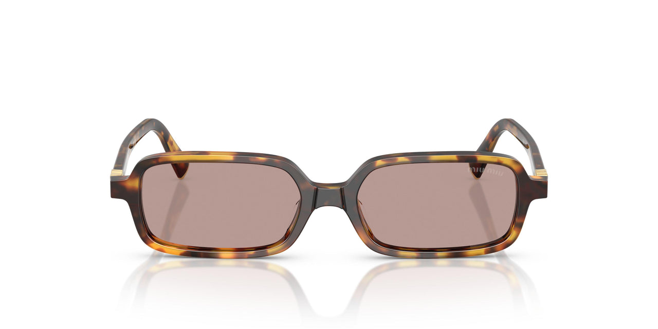 14L20I - Tortoise - Light Purple Brown