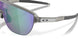 924814 - Grey - Prizm Jade
