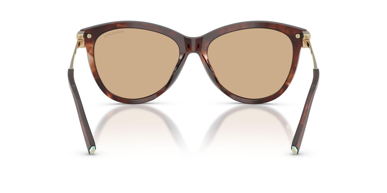 8421/8 - Brown - Light Yellow