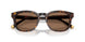 562573 - Tortoise - Dark Brown
