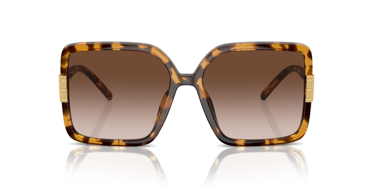 199213 - Tortoise - Light Brown Gradient