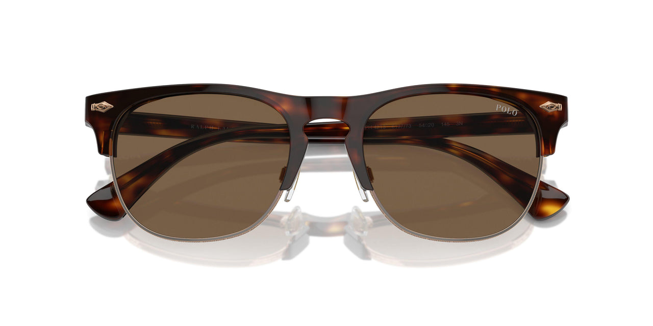 613773 - Tortoise - Brown