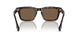 300273 - Brown - Dark Brown