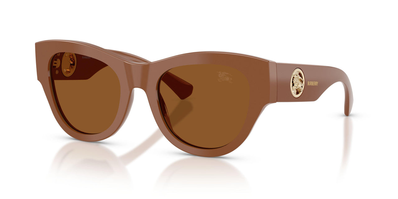 422273 - Brown - Dark Brown