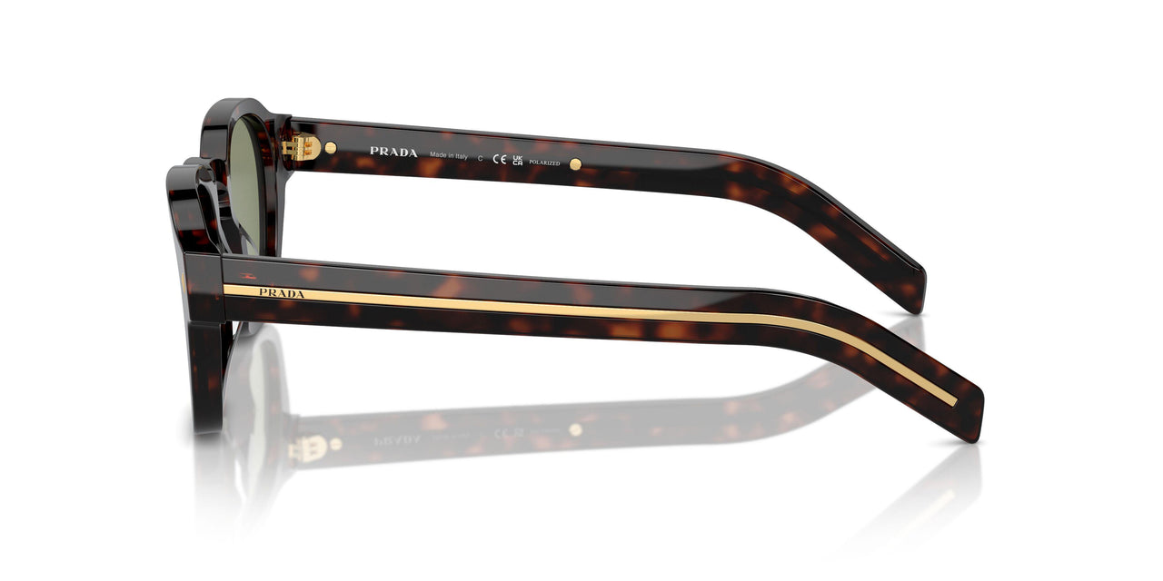 17N20G - Havana - Polarized Green