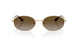 848/T5 - Gold - Grey Gradient Brown Polarized