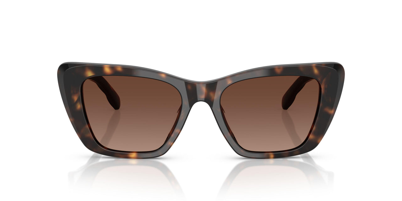 1964T5 - Tortoise - Brown Polar