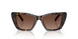 1964T5 - Tortoise - Brown Polar