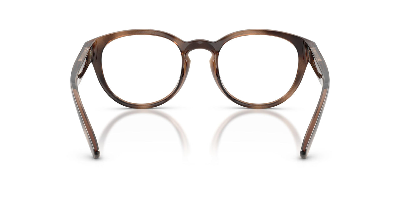 6070 - Tortoise