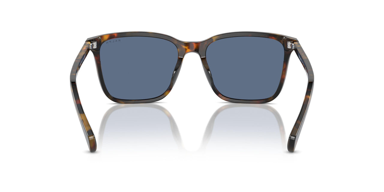 513480 - Brown - Dark Blue
