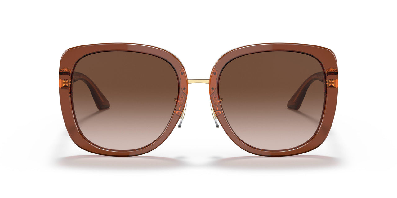 532413 - Brown - Brown Gradient