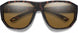 207795N9P61L5 - Chromapop Glass Polarized Brown