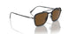 801557 - Black - Brown Polar