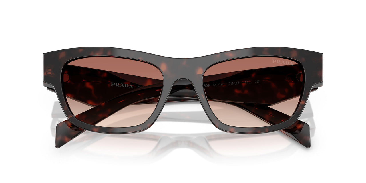 17N50L - Tortoise - Light Brown Gradient Bordeaux