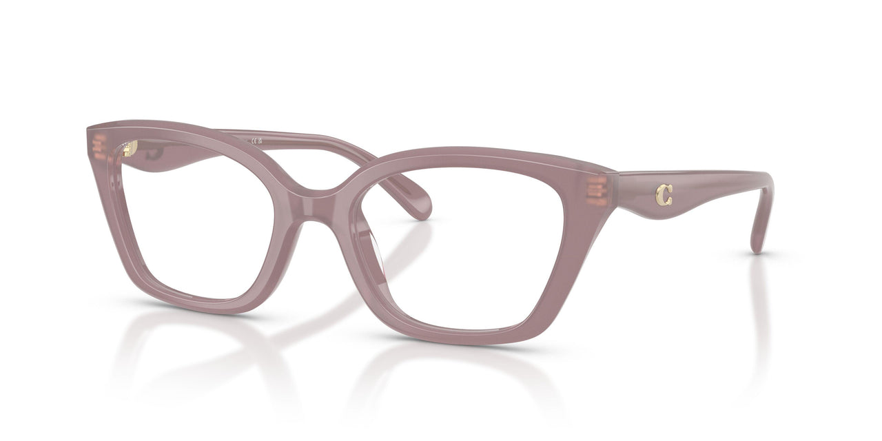 5495 - Brown