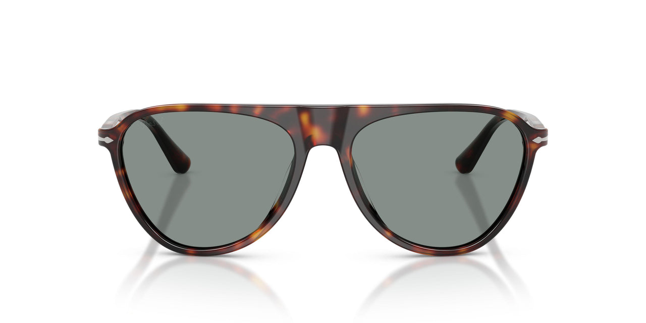 24/56 - Tortoise - Light Blue