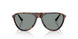 24/56 - Tortoise - Light Blue