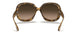 642/A5 - Havana - Pink Gradient Brown