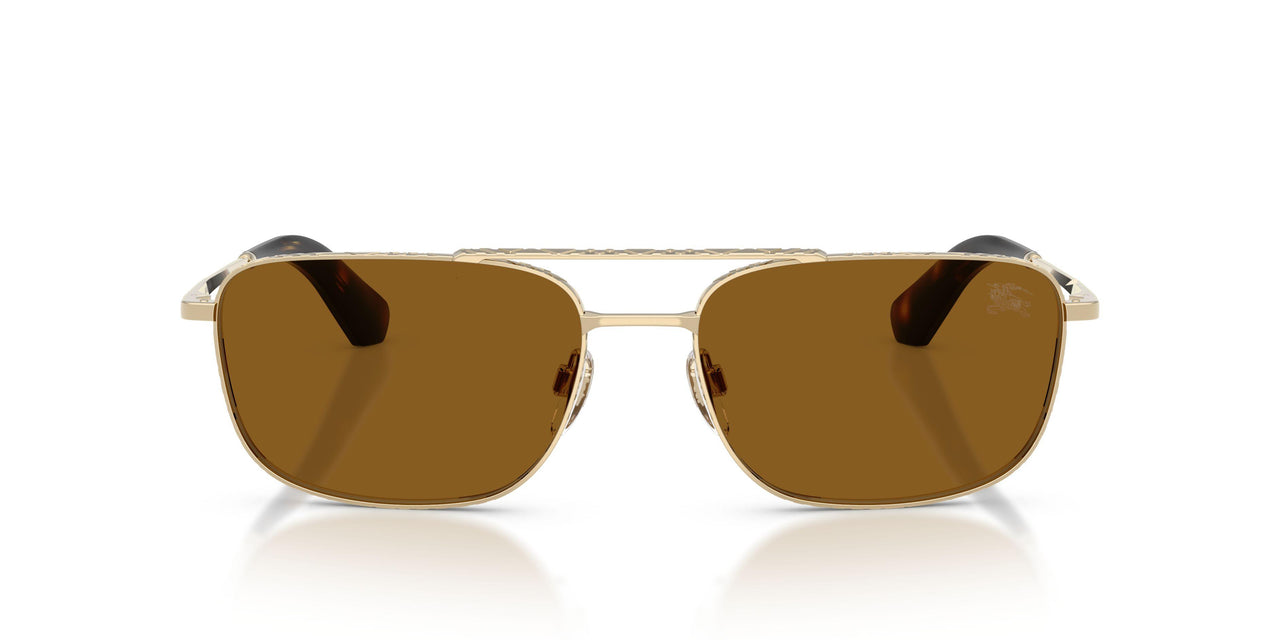 110983 - Gold - Polar Brown