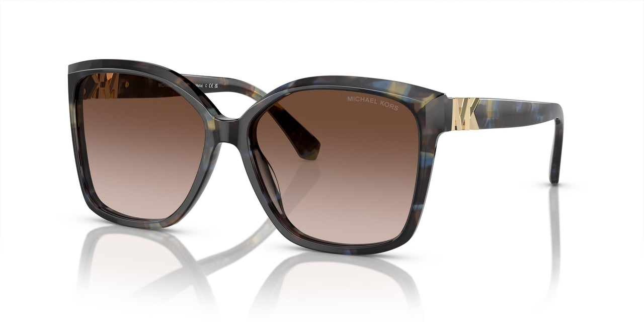395213 - Bright Blue Tortoise - Brown Gradient