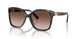395213 - Bright Blue Tortoise - Brown Gradient