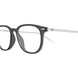005 - Grey/Silver - Transparent