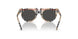 377887 - Brown - Dark Grey