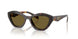 17N09Z - Tortoise - Dark Brown
