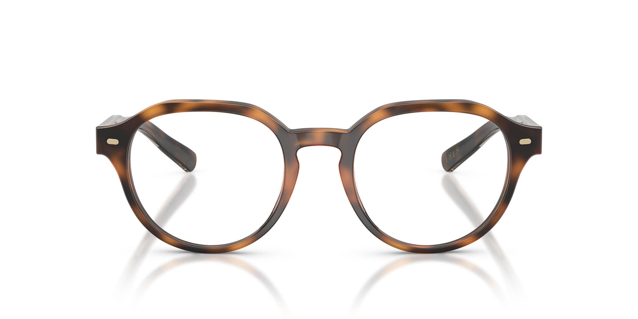 6161 - Tortoise