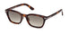 Tom Ford 1275D Sunglasses