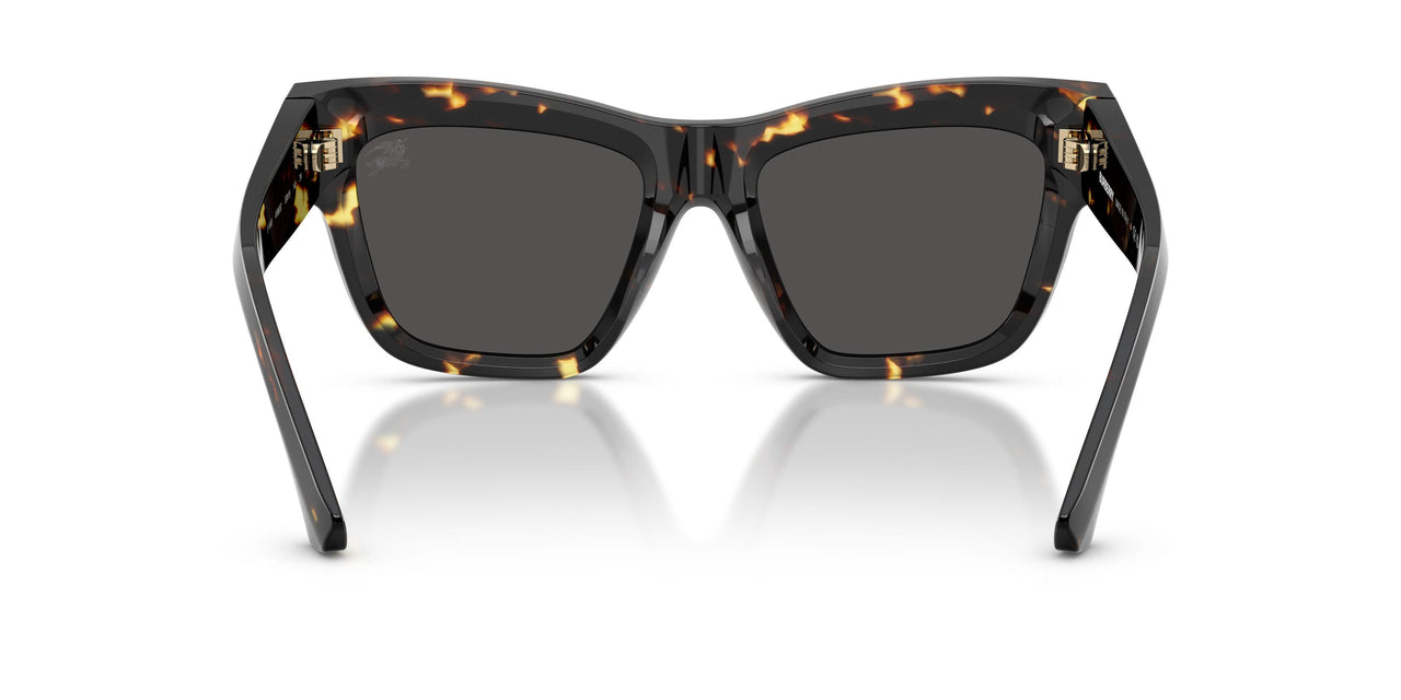 410687 - Tortoise - Dark Grey