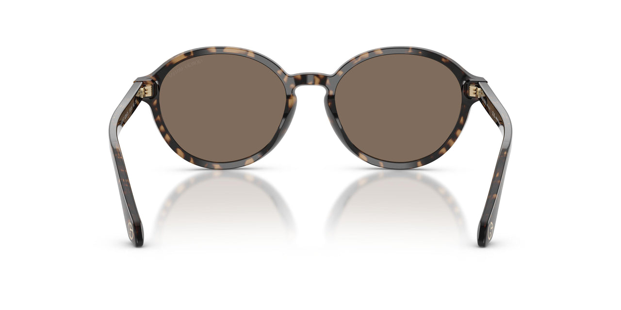 623573 - Tortoise - Dark Brown
