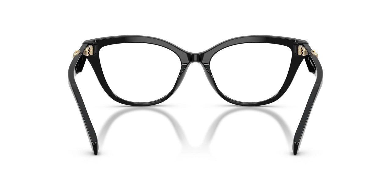 3005 - Black