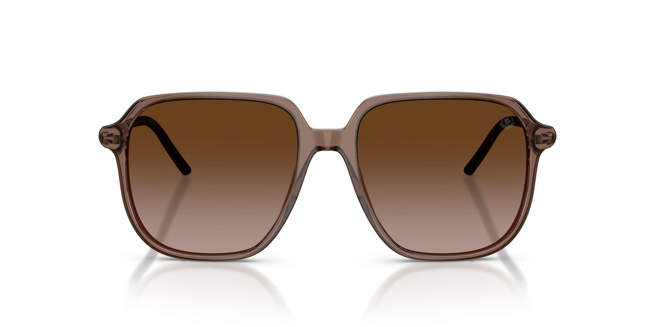 301813 - Brown - Gradient Brown
