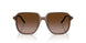 301813 - Brown - Gradient Brown