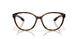802503 - Tortoise