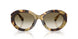 630113 - Tortoise - Brown Gradient