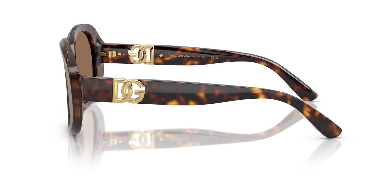 502/73 - Tortoise - Dark Brown