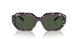 31499A - Grey - Dark Green Polarized