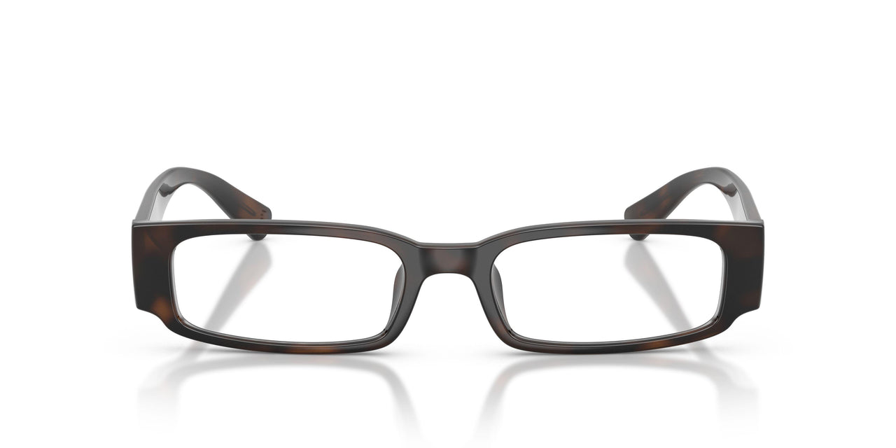 5860 - Tortoise
