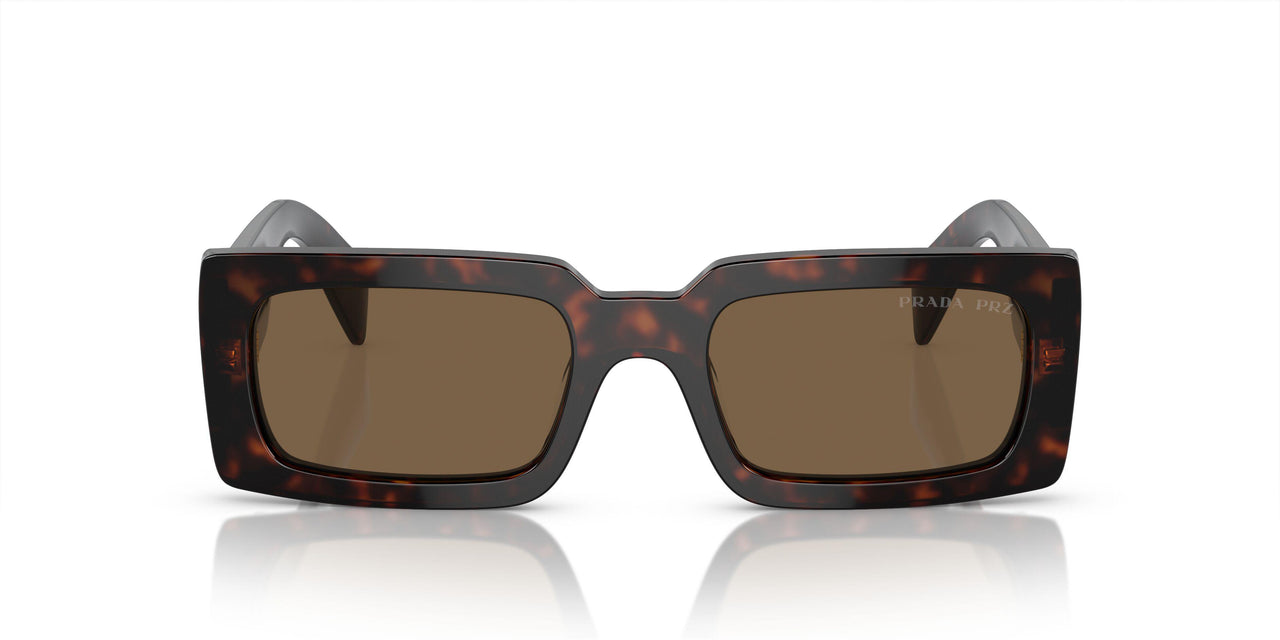 16N5Y1 - Brown - Dark Brown Polar