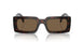 16N5Y1 - Brown - Dark Brown Polar