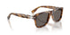 1243B1 - Tortoise - Dark Grey