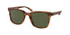 558171 - Light Brown - Dark Green Solid