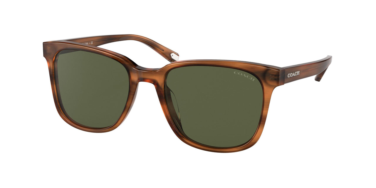 558171 - Light Brown - Dark Green Solid