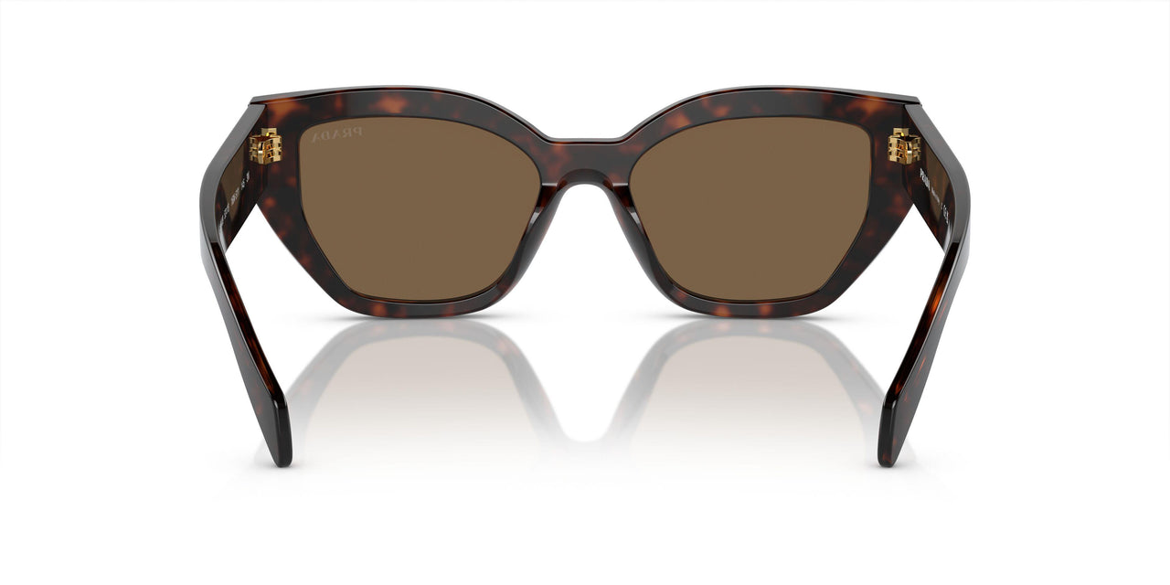 16N5Y1 - Briar Tortoise - Dark Brown