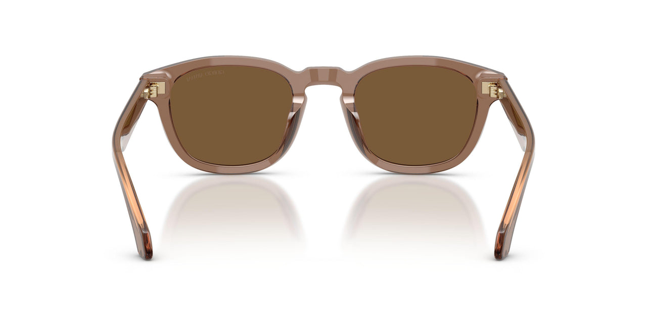 646973 - Brown - Brown