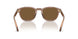 646973 - Brown - Brown
